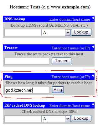 Find Ping and enter nameserver