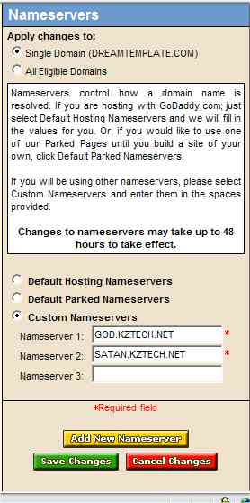 Enter Desired Nameservers